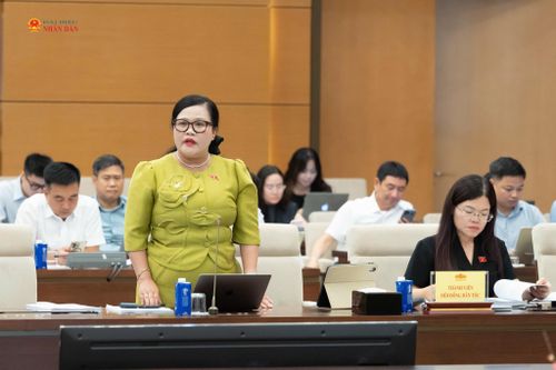 Phó Trưởng Đoàn chuyên trách Đoàn ĐBQH TP. Huế Nguyễn Thị Sửu phát biểu