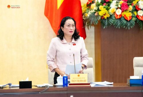 Phó Chủ tịch Hội đồng Dân tộc Trần Thị Hoa Ry trình bày dự thảo Báo cáo thẩm tra