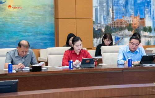 Các đại biểu tham dự phiên họp