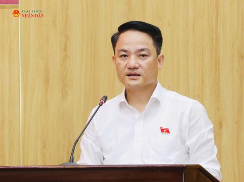 Phó Trưởng Đoàn ĐBQH tỉnh Ninh Bình Lê Văn Thế phát biểu
