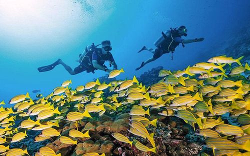 Khách du lịch trải nghiệm tour phiêu lưu dưới nước tại Kandooma Maldives - một trong những resort bãi biển tuyệt nhất ở đảo san hô South Malé Atoll, nơi cuộc sống chậm thư thái chào đón khách ghé thăm. Ảnh: traveltrademaldives