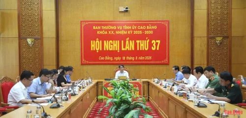 Hội nghị Ban Thường vụ Tỉnh ủy lần thứ 37.