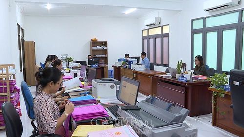 Cán bộ Sở Nông nghiệp và Môi trường tỉnh tra cứu hồ sơ, nhập dữ liệu lên nền tảng dùng chung.