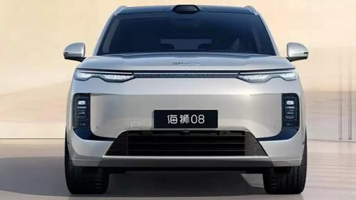 Sealion 08 kết hợp động cơ xăng 1.5L công suất 115 kW với mô-tơ điện 200 kW. Ảnh: BYD.