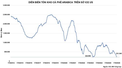 Tồn kho cà phê Arabica trên sở ICE US. Nguồn: MXV
