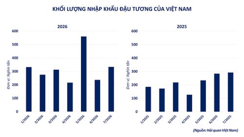 Khối lượng nhập khẩu đậu tương của Việt Nam. Nguồn: MXV