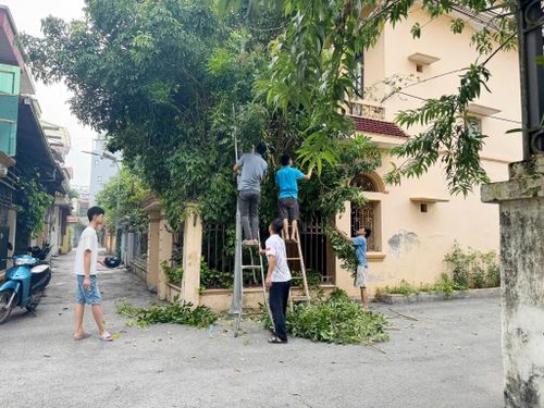 Cắt tỉa cây xanh, tạo cảnh quan sạch đẹp trên các tuyến đường. Ảnh: ĐP