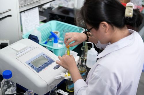Đề án mới sẽ tuyển chọn người học theo hình thức cạnh tranh, công khai trên toàn quốc. Ảnh minh họa: Duy Hiệu.