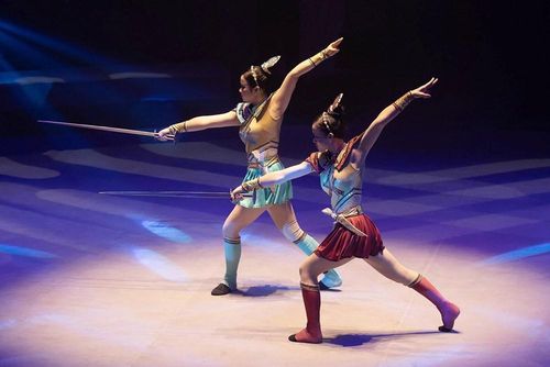Các chương trình của Liên đoàn Xiếc Việt Nam luôn đa dạng về ngôn ngữ thể hiện ngoài kỹ thuật biểu diễn