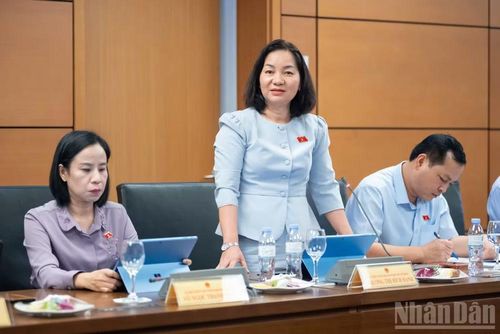 Đại biểu Trương Thị Bích Hạnh (Đoàn Thành phố Hồ Chí Minh) phát biểu tại tổ. (Ảnh: THỦY NGUYÊN)