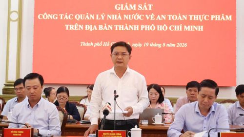  Phó Chủ tịch UBND TPHCM Nguyễn Mạnh Cường phát biểu tại buổi giám sát ngày 19-8. 