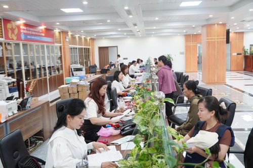  Viên chức BHXH TPHCM giải quyết hồ sơ cho người tham gia. Ảnh: ĐÔNG SƠN 