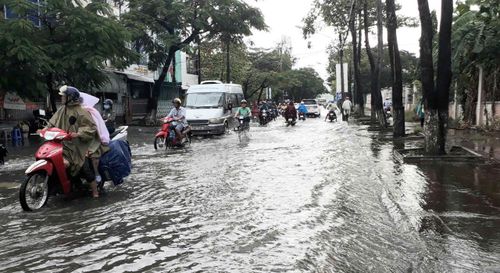 Đường Trần Hưng Đạo đoạn gần khu vực giao với đường Phan Ngọc Hiển, phường Tân Thành, tỉnh Cà Mau, thường xuyên bị ngập khi mưa lớn, triều cường