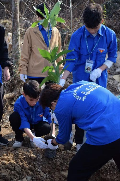Bên cạnh việc học, Bình năng nổ tham gia các hoạt động tình nguyện. Ảnh: NVCC.