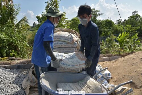 Sinh viên tình nguyện không ngại khó khăn, vất vả làm đường nông thôn.