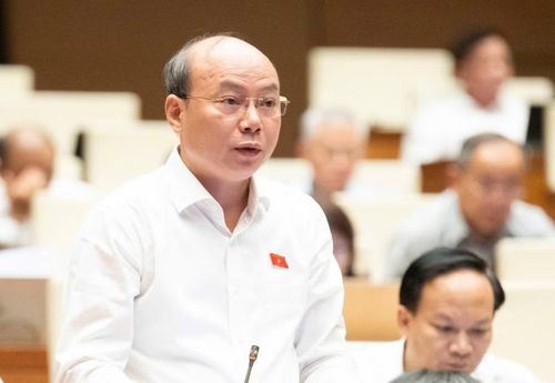 Đại biểu Hoàng Văn Nghĩa. Ảnh: QH