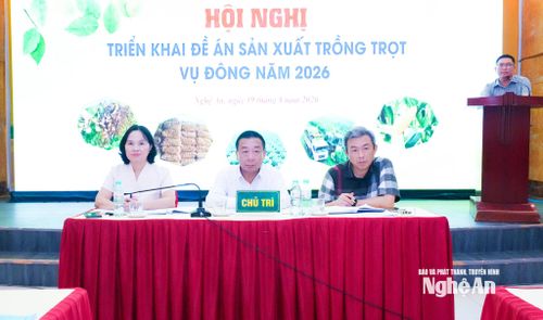 Đồng chí Nguyễn Văn Đệ - Ủy viên Ban Thường vụ Tỉnh ủy, Phó Chủ tịch UBND tỉnh và lãnh đạo Sở Nông nghiệp và Môi trường chủ trì hội nghị. Ảnh: Mai Hoa