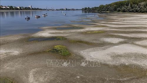 Tại Croatia, nắng nóng và hạn hán kéo dài đã khiến mực nước sông Danube và Drava xuống mức thấp, ảnh hưởng hoạt động vận tải đường thủy. Ảnh: THX/TTXVN phát