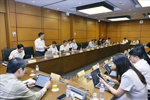 Đoàn đại biểu các tỉnh Gia Lai và Hưng Yên thảo luận ở tổ. Ảnh: Doãn Tấn/TTXVN