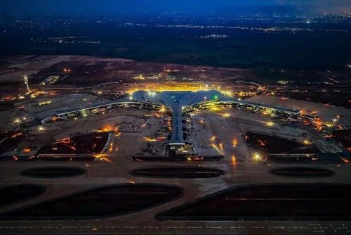 Việc sớm đưa sân bay Long Thành vào hoạt động đã thành "thỏi nam châm" hút nhà đầu tư bất động sản.