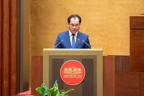 Bộ trưởng Nông nghiệp và Môi trường Trịnh Việt Hùng trình bày Tờ trình về định hướng chính sách sửa đổi Luật Đất đai năm 2024. Ảnh: Quốc hội.