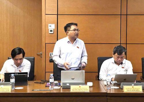 Đại biểu Trường Trung Tuyến (Đoàn Gia Lai). Ảnh: Bích Hồng/Bnews/vnanet.vn