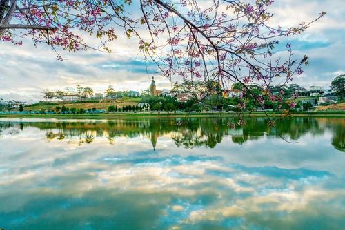 Cảnh đẹp ở Tam Đảo. Ảnh: Sưu tầm