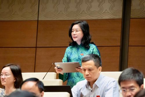 Đại biểu Lê Thị Hoài Chung, Đoàn ĐBQH tỉnh Nghệ An, kiến nghị