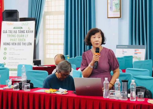 TS Nguyễn Thị Hậu cho rrằng vùng ven của các đô thị luôn giữ một vị thế công bằng, cân bằng mọi mặt đời sống vật chất lẫn tinh thần, và chính sự bình đẳng đó đã giúp nuôi chở, bảo vệ lại khu vực đô thị trung tâm suốt hơn 200 năm qua.
