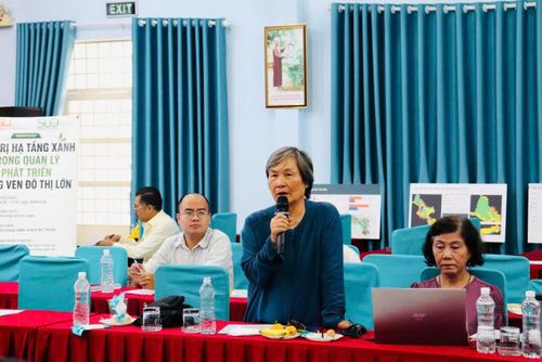 PGS-TS Nguyễn Hồng Thục cho rằng Bình Mỹ trong lịch sử cũng là một tọa độ giao thương đường thủy vô cùng sầm uất. Vì vậy, việc thiết lập chiến lược quy hoạch không thể làm theo phong trào.