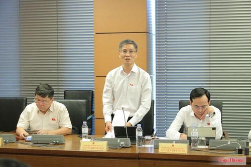 Đại biểu Nguyễn Khánh Ngọc - đoàn TP. Đà Nẵng