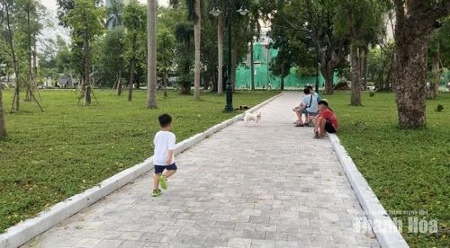 Chó chạy tự do, không được kiểm soát trong khu vực vui chơi của trẻ em.