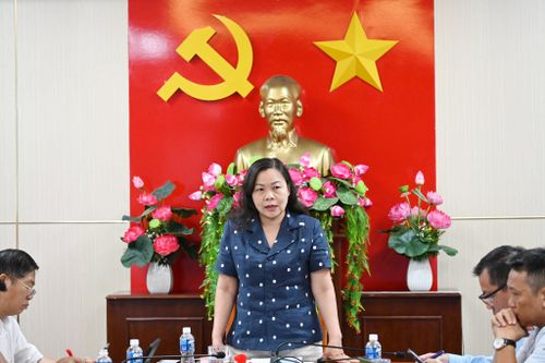 Tỉnh ủy viên, Phó Chủ tịch HĐND tỉnh Nguyễn Thị Thuận Bích phát biểu kết luận buổi giám sát