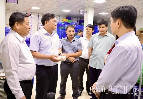 Đoàn công tác của tỉnh thăm mô hình sản xuất nấm của Công ty TNHH Nấm Phùng Gia.
