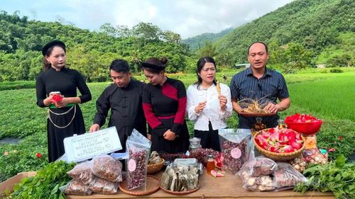 Lãnh đạo xã Kiên Đài cùng các quản trị viên nhóm “Chợ vùng cao Kiên Đài” tham gia livestream giới thiệu, quảng bá nông sản địa phương.
