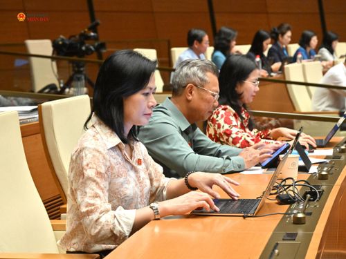 Các đại biểu dự phiên họp. Ảnh: Quang Khánh