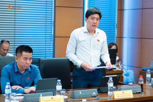 ĐBQH Trịnh Trung Tín (An Giang) phát biểu