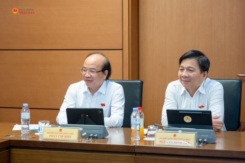 Các đại biểu tham dự phiên thảo luận Tổ 8