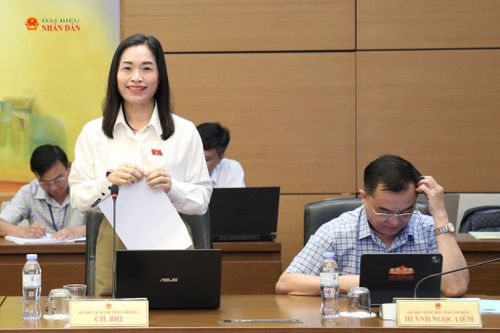 Đại biểu Cil Bri (Lâm Đồng) phát biểu