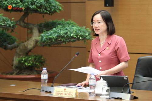 ĐBQH Thái Thị An Chung (Nghệ An) phát biểu .