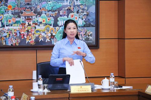 ĐBQH Lê Thị Kim Dung (Tuyên Quang) phát biểu