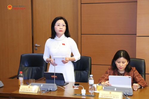 ĐBQH Nguyễn Thị Thu Nguyệt (Đắk Lắk) phát biểu. Ảnh: Đắc Trường