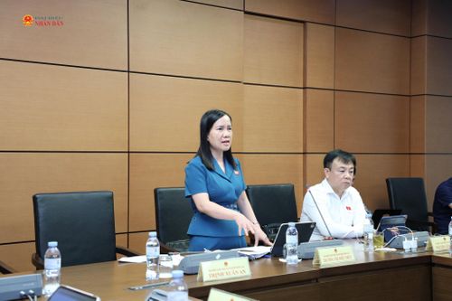 ĐBQH Trương Thị Diệu Thúy (TP. Đồng Nai) phát biểu