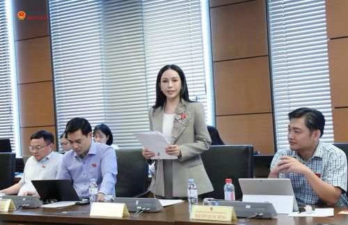 ĐBQH Lê Nữ Thùy Dương (TP. Đồng Nai) phát biểu