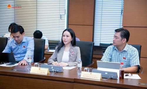 Các ĐBQH TP. Đồng Nai tham gia thảo luận tổ