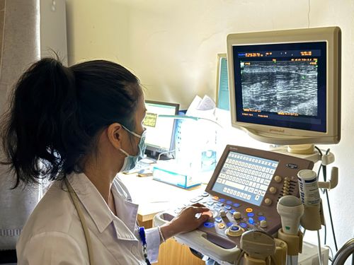 Hình ảnh siêu âm trên cánh tay trái của bệnh nhân N.V.T.