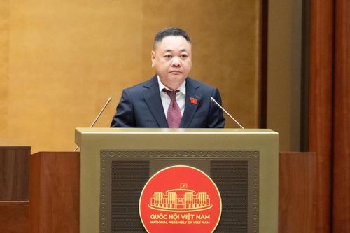 Phó Chủ nhiệm Ủy ban Kinh tế và Tài chính Nguyễn Ngọc Bảo trình bày ý kiến về định hướng chính sách sửa đổi Luật Đất đai năm 2024. Ảnh: VPQH