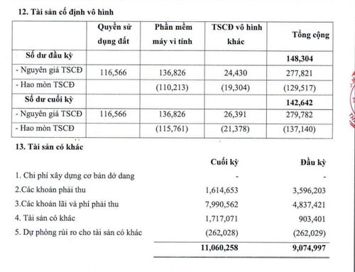 Nguyên giá phần mềm máy vi tính giữ nguyên 136,8 tỷ đồng suốt sáu tháng, hao mòn đã đạt 84,6%. Ảnh chụp thuyết minh báo cáo tài chính hợp nhất quý II/2026