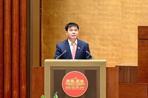 Phó Chủ nhiệm Ủy ban Kinh tế và Tài chính của Quốc hội Nguyễn Hữu Toàn trình bày báo cáo thẩm tra. Ảnh: Quochoi.vn