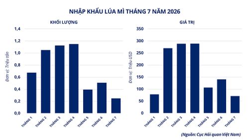 Nhập khẩu lúa mì đến tháng 7-2026 của Việt Nam. Nguồn: MXV